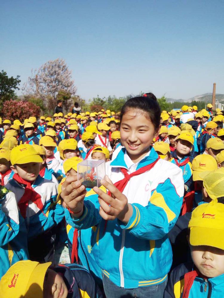 九游会集团有限公司内容图片展示